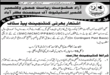 Kashmir Institute of Management Jobs 2021
