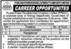 Jobs in Punjab Power Development Company Limited