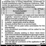 Jobs in Punjab Power Development Company Limited