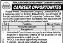 Jobs in Punjab Power Development Company Limited
