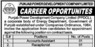 Jobs in Punjab Power Development Company Limited