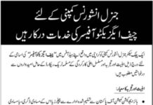 Job at General Insurance Company