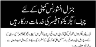 Job at General Insurance Company