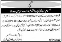 Jobs at Forest Division Torghar