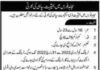 Jobs at Mujahid Force