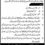 Jobs at Mujahid Force