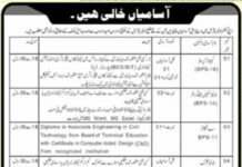 Deputy Commissioner Jobs 2022