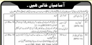 Deputy Commissioner Jobs 2022