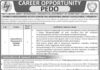 Pakhtunkhwa Energy Development Organization Jobs 2022