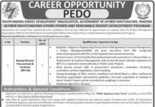 Pakhtunkhwa Energy Development Organization Jobs 2022