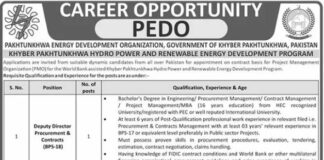 Pakhtunkhwa Energy Development Organization Jobs 2022