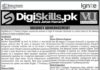 Digiskills jobs 2022