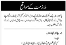 Jobs at General Insurance Company