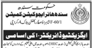 Job at Sindh Higher Education Commission