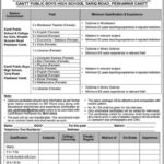 Jobs at Cantt Public Educational Institutions