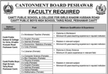 Jobs at Cantt Public Educational Institutions