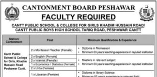 Jobs at Cantt Public Educational Institutions