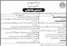 Finance Department Sindh Jobs 2022