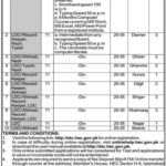 Chief Court Jobs 2022