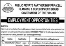 Jobs at Public Private Partnership Cell