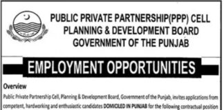 Jobs at Public Private Partnership Cell