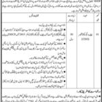 Sindh Government Jobs 2022