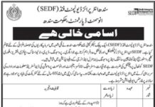 Sindh Government Jobs 2022