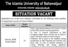 Jobs In Islamia University Of Bahawalpur