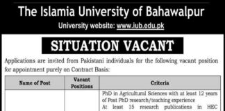 Jobs In Islamia University Of Bahawalpur