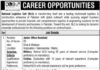 Jobs In National Logistics Cell