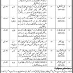 Jobs Available At Port Qasim Authority