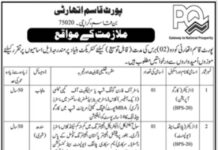 Jobs Available At Port Qasim Authority