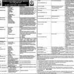 Jobs In Medical College Allied Institutions 2022