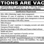 Project Jobs In Khyber Pakhtunkhwa