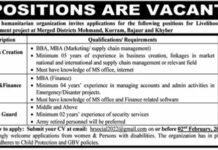 Project Jobs In Khyber Pakhtunkhwa