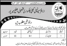 Municipal Committee AJK Jobs 2022