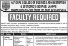 Jobs At National College of Business Administration & Economics