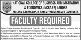 Jobs At National College of Business Administration & Economics