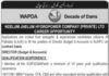 WAPDA Jobs 2021