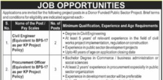 Jobs at Public Sector Project