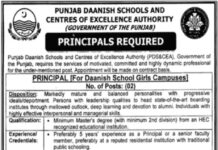 Punjab Daanish Schools Centers Of Excellence Authority Jobs 2022