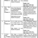Punjab Public Private Partnership Authority Jobs 2022