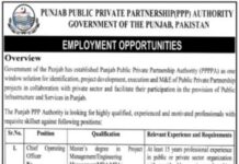 Punjab Public Private Partnership Authority Jobs 2022