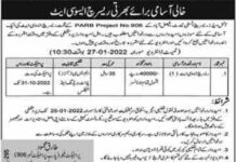Jobs In Oil Seeds Research Institute