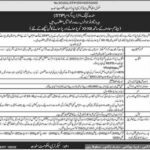 School Education & Literacy Department Jobs 2022