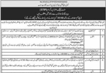 School Education & Literacy Department Jobs 2022
