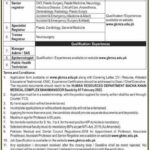 Jobs at Medical Teaching Institution Swabi