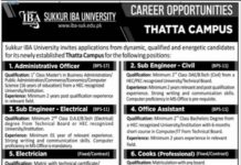 Jobs In Sukkur IBA University