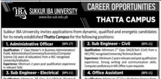 Jobs In Sukkur IBA University