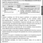 Jobs In University of Engineering And Technology 2022